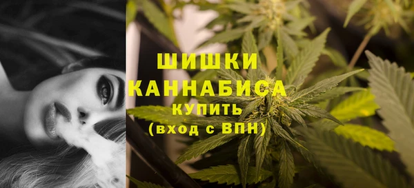 spice Дмитровск