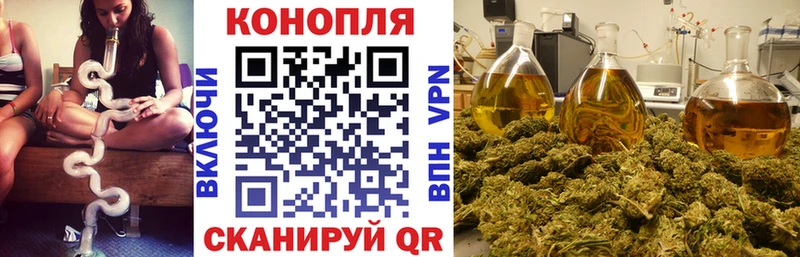 Канабис MAZAR  Пионерский 